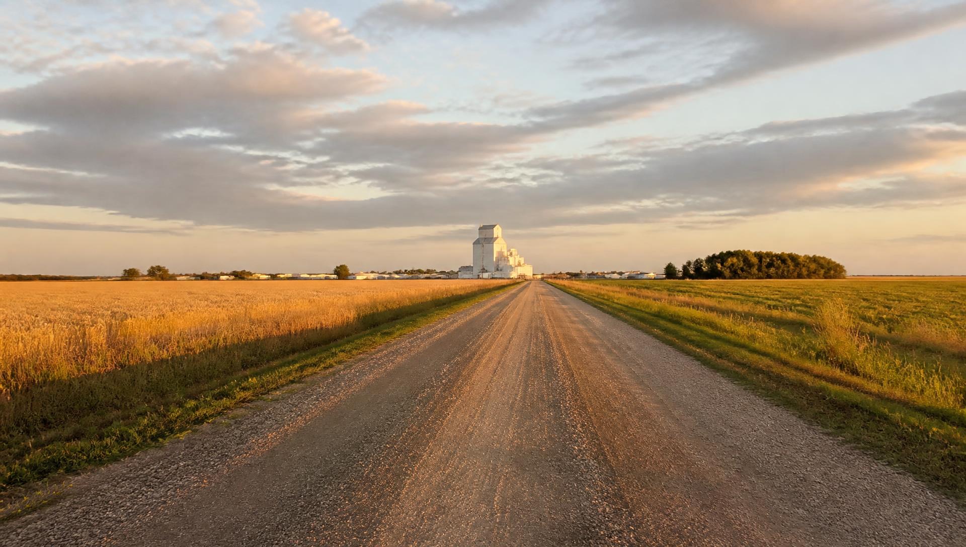 A gravel municipal road running through prairie farmland toward a small Manitoba town at golden hour